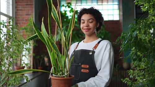 Running of Own Business African Woman Florist Holding Plant in Pot Wearing Apron in Botanical Store