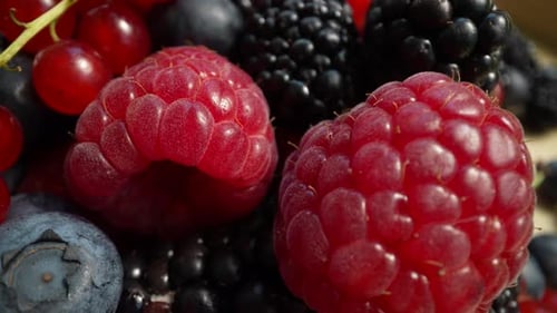 Close-Up View of Fresh Summer Berries