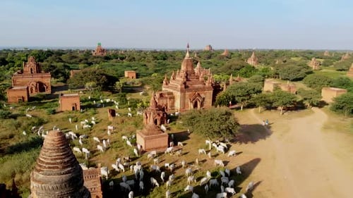 Explorez les temples et les vues panoramiques de Bagan dans le cadre enchanteur du Myanmar