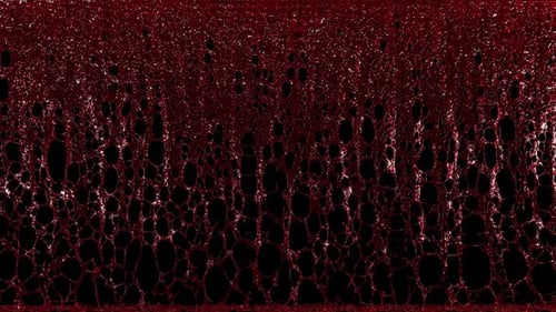 Abstract Red Fluid Network Animation