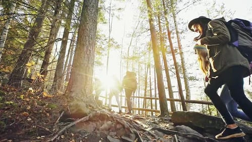 Group Hiking up Rocky Forest Mountain Trail