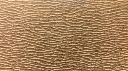 Beautiful Abstract Sand Patterns Formed by The Wind