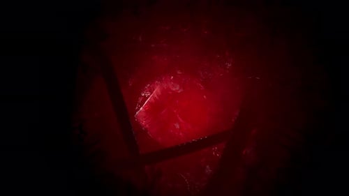 Voodoo Horror with Red Tentakles