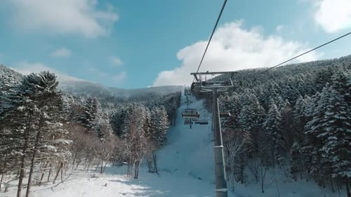 Riding on Ski Lift Between Snow Covered Pinetrees in the Morning POV Shot Winter Vacation Concept