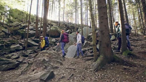 Happy Group of Tourists Walking Through the Forest