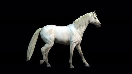 Majestoso cavalo branco correndo livremente em movimento