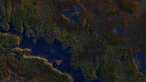 Aerial view of marshland and waterways, United States.