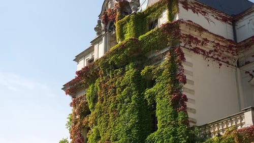 Wroclaw Comedy Theatre