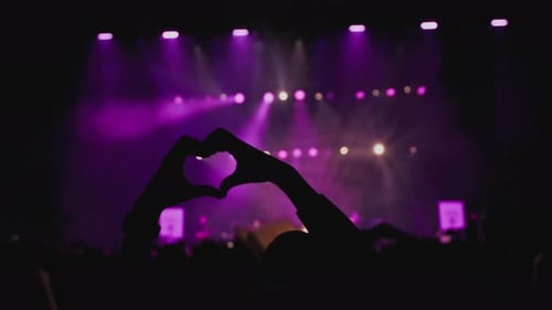 Concert Crowd Enjoying Music Show at Night