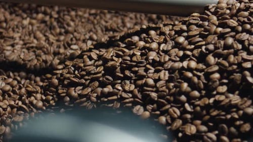 Coffee Beans in Machinery Arm Moving