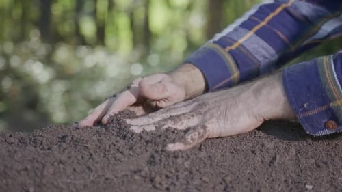 Hands Holding Fertile Soil Closeup Checking Soil Dirty Clay and Organic Fertilizer Eco Farming with