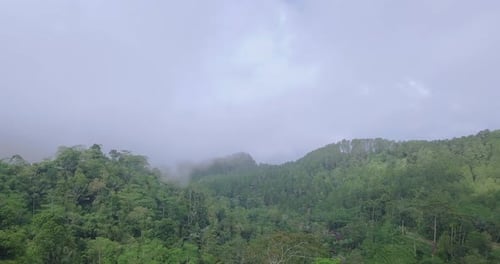 Forward drone video of the the fog that moves through the forest. Dense rain forest and hill on trop