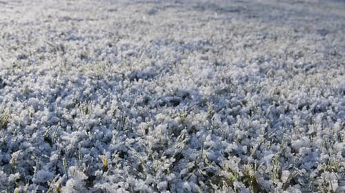 Slow camera movement along frozen grass.