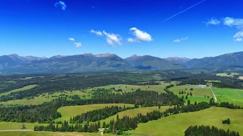 Beautiful green meadows with pine tree woods. Spectacular Tatra mountains at backdrop.