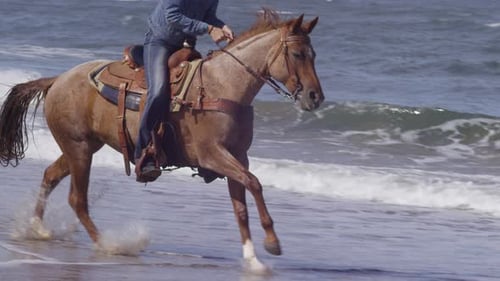 Women Riding Horses at Beach In
