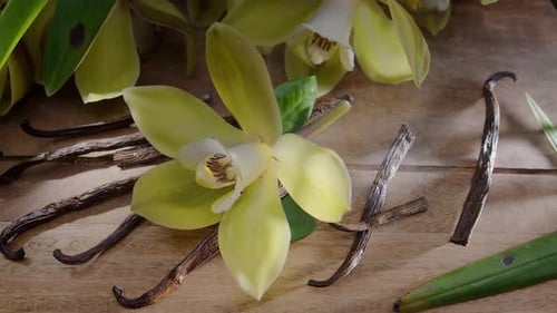 Vanilla orchid flower with vanilla sticks on a vintage wooden table.