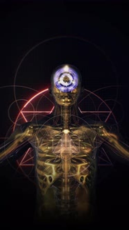 The Human Energy Field Portrait