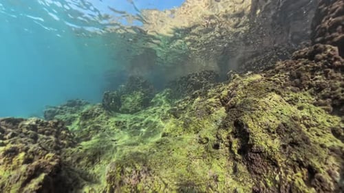 360-Grad-Drehung Eine detaillierte Unterwasseraufnahme von algenbedeckten Felsen und der Wasserreflexion, die