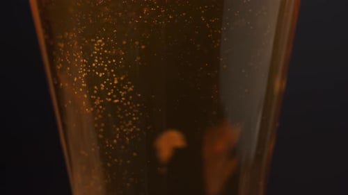 Refreshing Beer Being Poured into Glass Close-Up