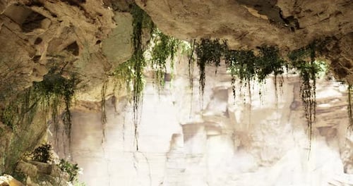 Exploring a Stunning Natural Cave with Hanging Greenery and Rock Formations