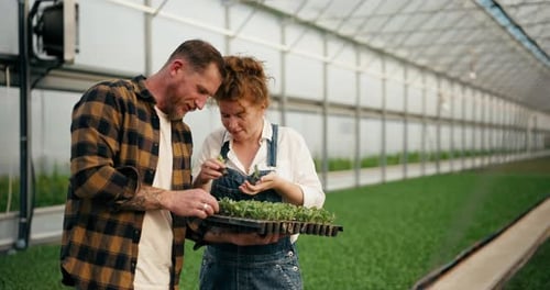 Couple Examining Plants in Greenhouse