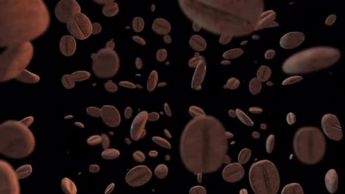 Cautivante animación 4K de granos de café con transparencia alfa
