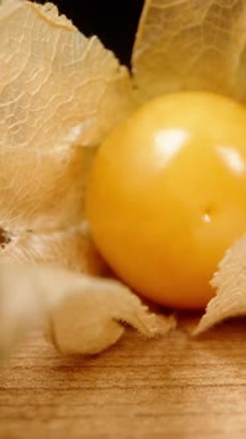 Vertikal. Auf einem Holztisch angeordnete Physalis-Beeren, die chinesischen Papierlaternen ähneln. Dolly