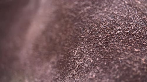 Close Up of Brown Rough Textured Grainy Surface