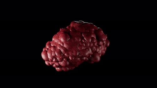 Zusammenfassung rote organische Zellmasse oder Tumor auf Schwarz
