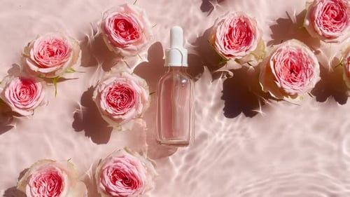 Kosmetikflasche aus Glas und rosa Rosenblüten in Zeitlupe der Wellen, Wasser, klares Wasser mit Reflexionen