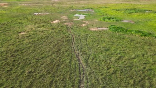 An aerial view of a grassy field toward a mud pond