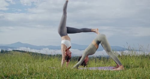 Flexible Women Performing Yoga Together in Nature