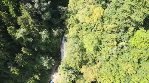 Waterfall Hidden in Lush Green Forest Aerial View