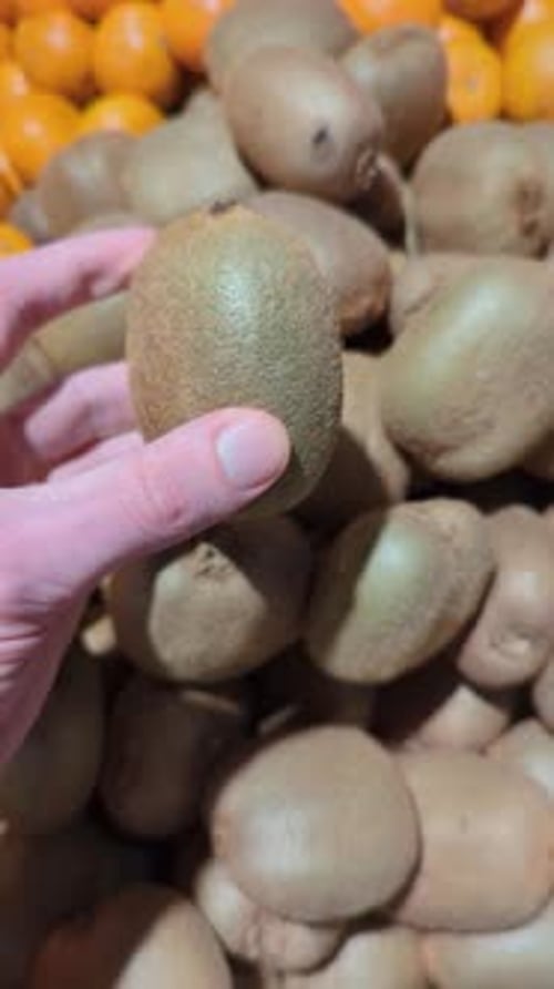 Kiwi Selection at the Market, Close Up