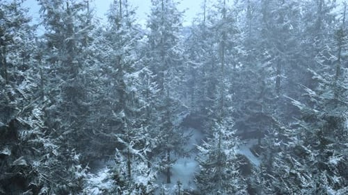 A Serene Winter Wonderland in a Snowcovered Forest