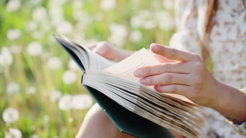Woman Reads a Book Outdoors in Dandelion Field