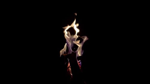 Zeitlupe der Flammen aus Brennholz