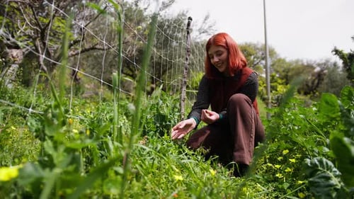 Woman Gardening Inspecting Plants in a Rural Garden