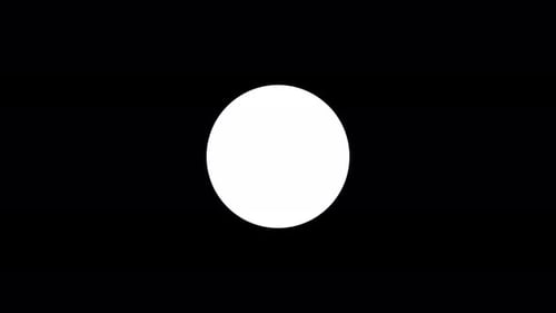 Modern Circle Reveal Animation