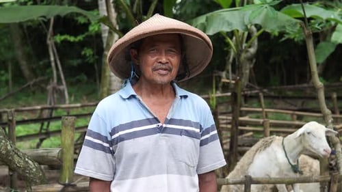 Excited Indonesian farmer smiling and showing thumbs up gesture in the farm full of livestock goats