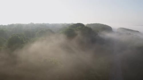 Sunrise Over MistEnshrouded Forest in Early Summer
