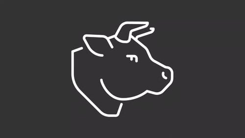 Animated beef line white line icon