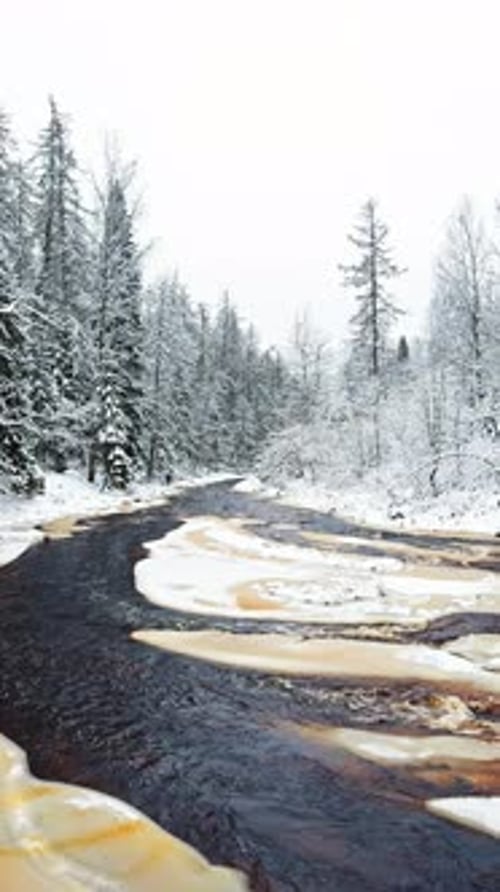 Lindulovskaya Grove an Ecological Trail a Calm Winding River in a Snowy Forest Trees Under the Snow