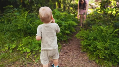 A Young Toddler Walking in a Forest Surrounded By Lush Greenery and Trees Embodying Adventure and