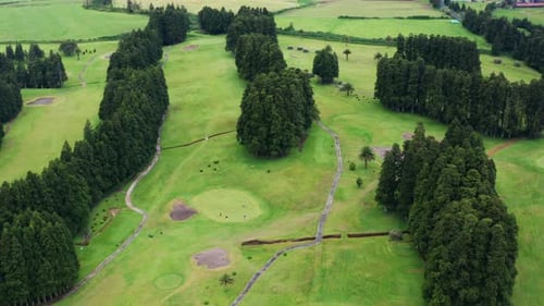 Cinematic aerial drone shot of green golf course.