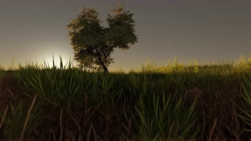 Gentle breeze swaying grass field. Early autumn season. Lonely solitude landscape. Dreamy colorful g