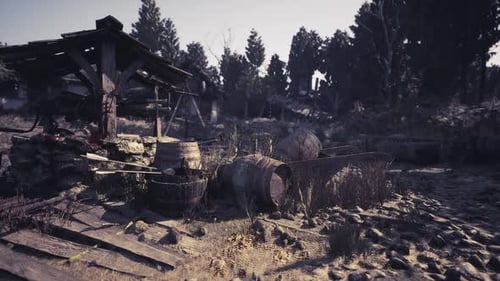 Old Wooden Barn and Weathered Barrels in a Rustic Forest Setting
