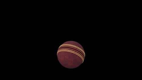 Balle de cricket à sauter