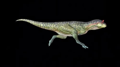 Sprint de dinosaures Carnotaurus