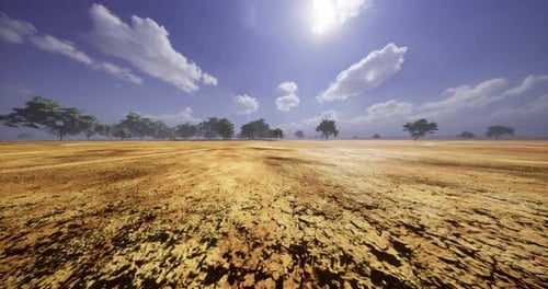 Expansive Desert Landscape with Dry Ground and Scattered Trees Under Bright Sky